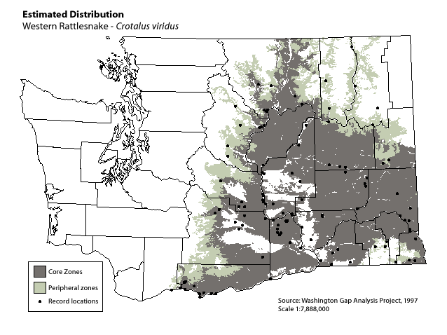 Western Rattlesnake Distribution in Eastern Washington