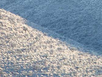 Picture of bluebunch wheatgrass habitat near Vantage, Washington