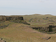 Escure Ranch View