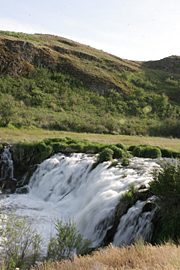 Towell Falls at Escure Ranch, WA