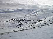 Umptanum Ridge in April