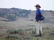 Hiker looking over the view of Umptanum Ridge