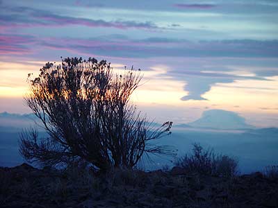 Photo of Mount Rainier overlooking Kittitas Valley, from Whiskey Dick Mountain