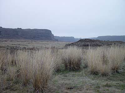 Photograph of Potholes Coulee in February
