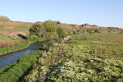 Rock Creek at Escure Ranch